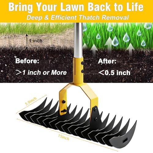 Thatch Rakeide Lawn Dethatcher Rake, Heavy Duty Rake for Dethatching with 15" W