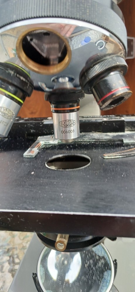 Olympus LSE Binocular Microscope in the original wood box Lighted