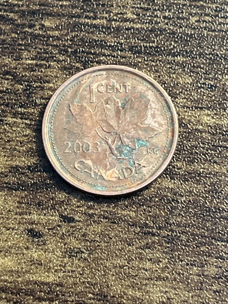 2003 Canada 1 One Cent Actual Coin TK8976*