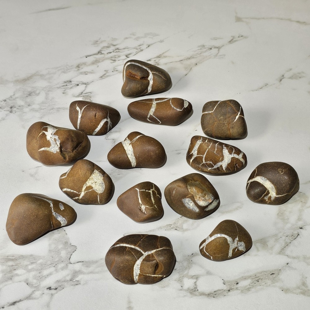 14 Septarian Lightning Stones Michigan Rocks Nodules 1" - 2" 1 Lb 10 Oz
