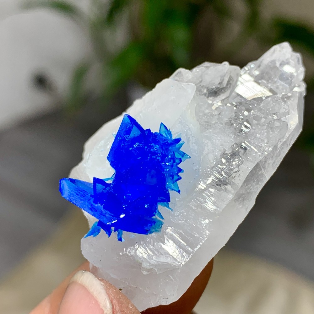 18G Newly discovered Blue chalcanthite Crystal cluster Stunning Crystal