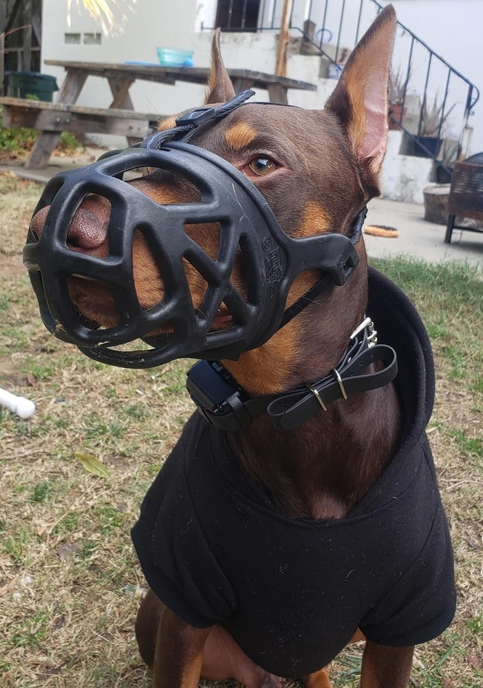 Humane XL Dog Muzzle for Training & Grooming - Breathable Rubber Design