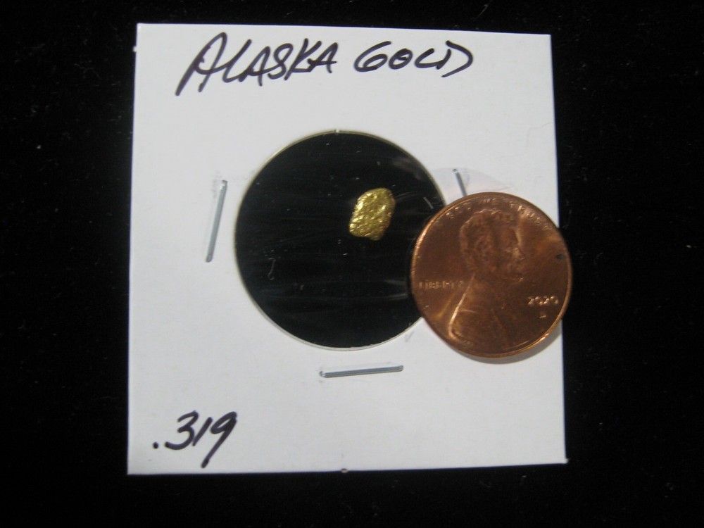 ALASKA GOLD .319 GRAM