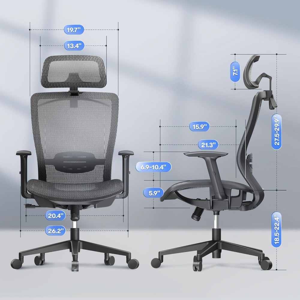 Ergonomic Office Chair,with Adjustable Lumbar Support/2D Headrest，Gray