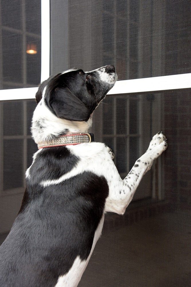 Phifer Pet- Resistant Screen Mesh - Custom Sizing Available