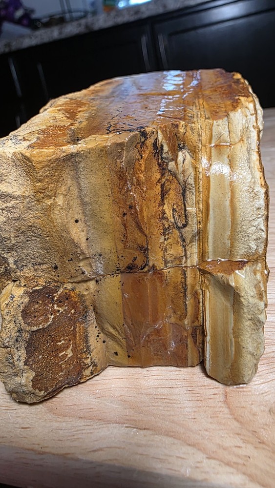 owyhee picture jasper