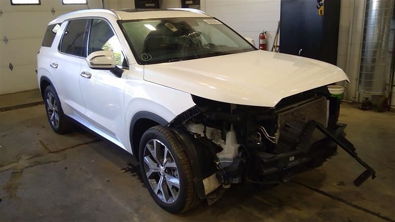 2020 Palisade Camera/Projector Sku#3646401