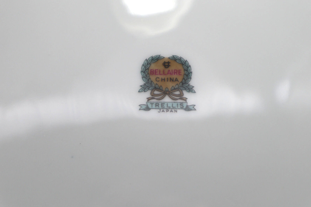 Bellaire Fine China Trellis Pattern Dinner Plate 10 1/2"