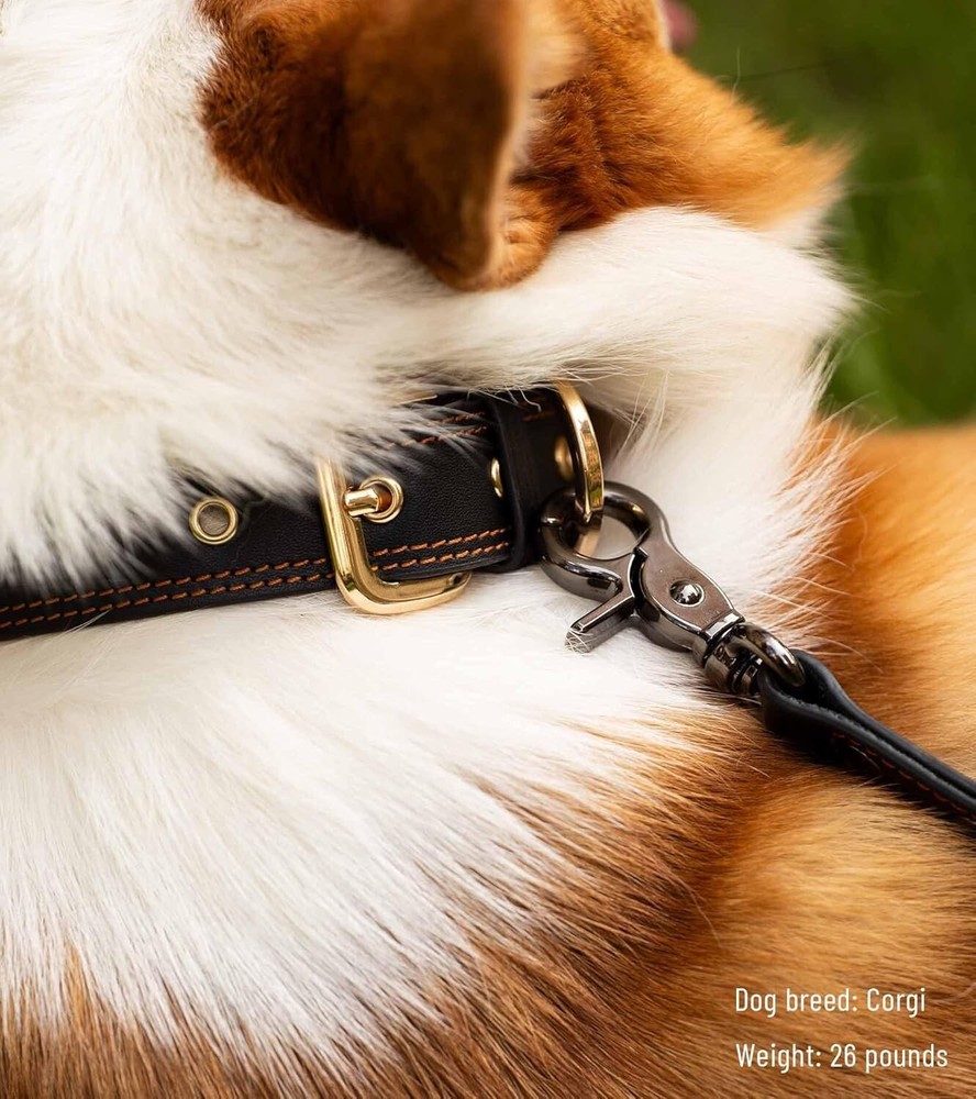 Culacos Dog Leash - Leather Training Double Handle and Bungee Design