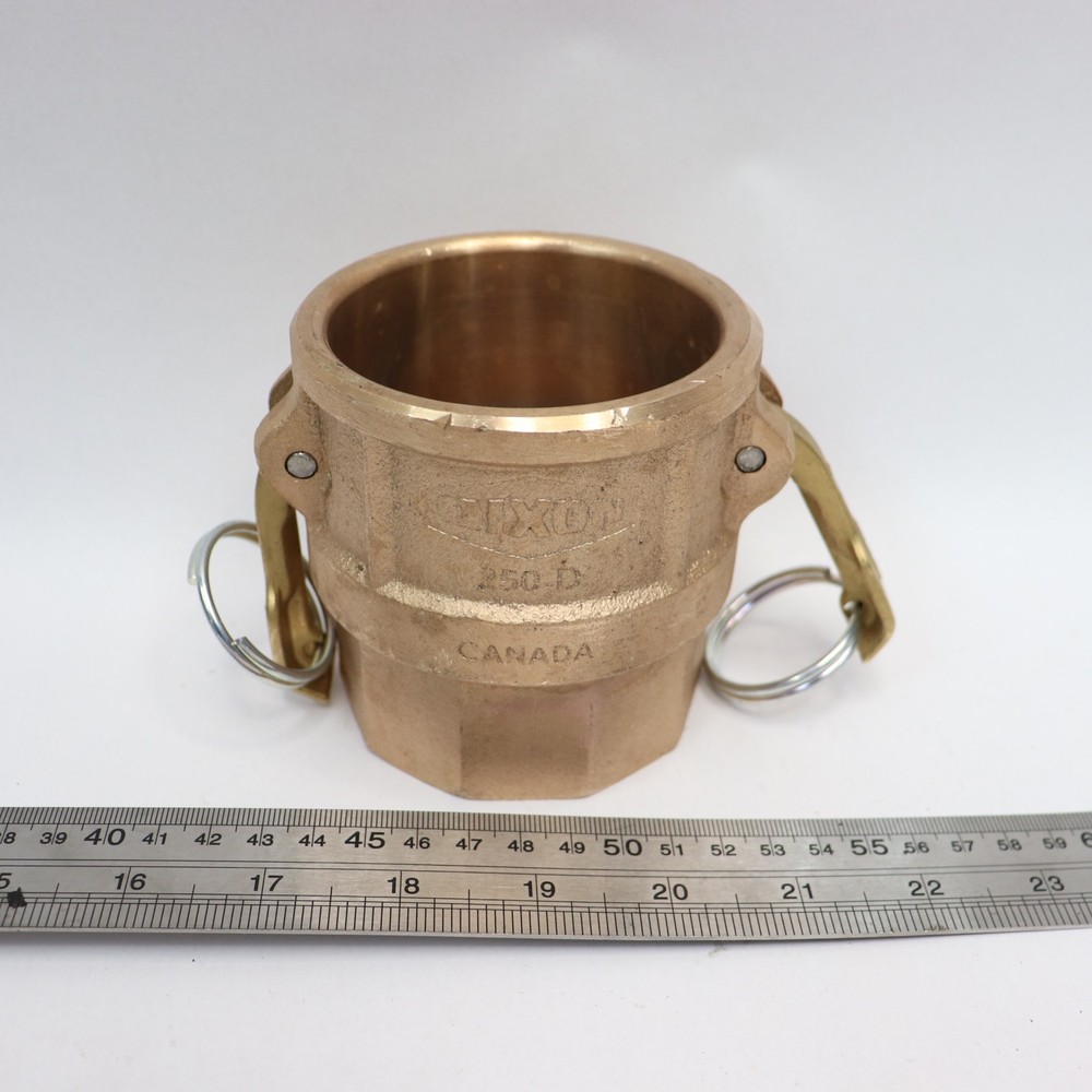 Dixon Valve Type D Coupler Brass 2-1/2" 250-D