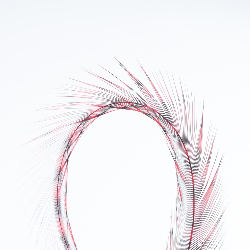 Metz Hackle Deceiver Pack - Grizzly/Red