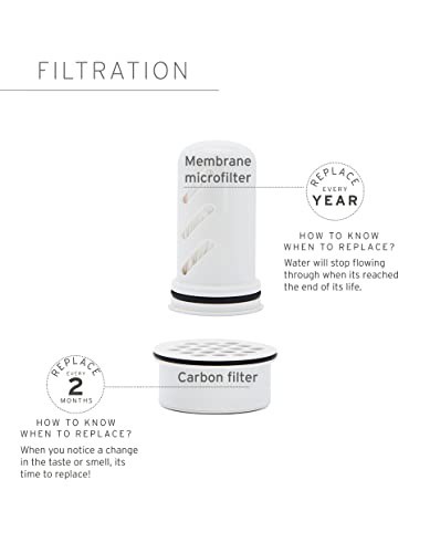 Replacement Membrane Microfilter for LifeStraw Home - Protects Against Bacteria,
