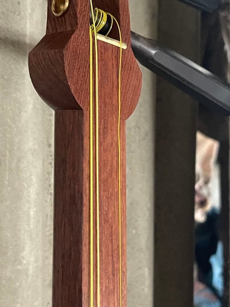 Luxury Shamisen With Case