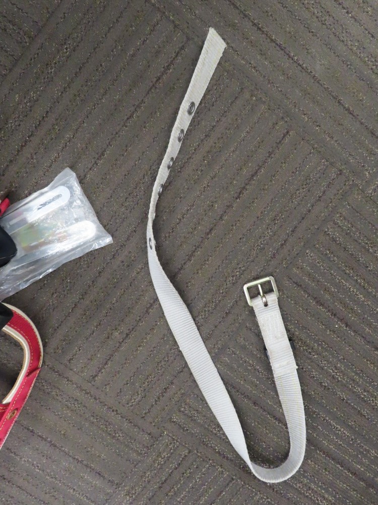 Notch Gecko - Tree Spikes -