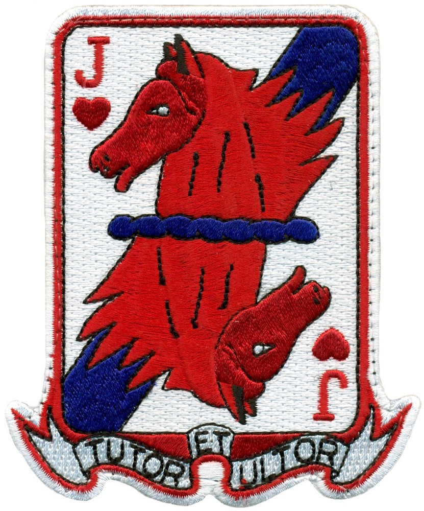 USAF 434th FIGHTER TRAINING SQUADRON PATCH -  HERITAGE - RED