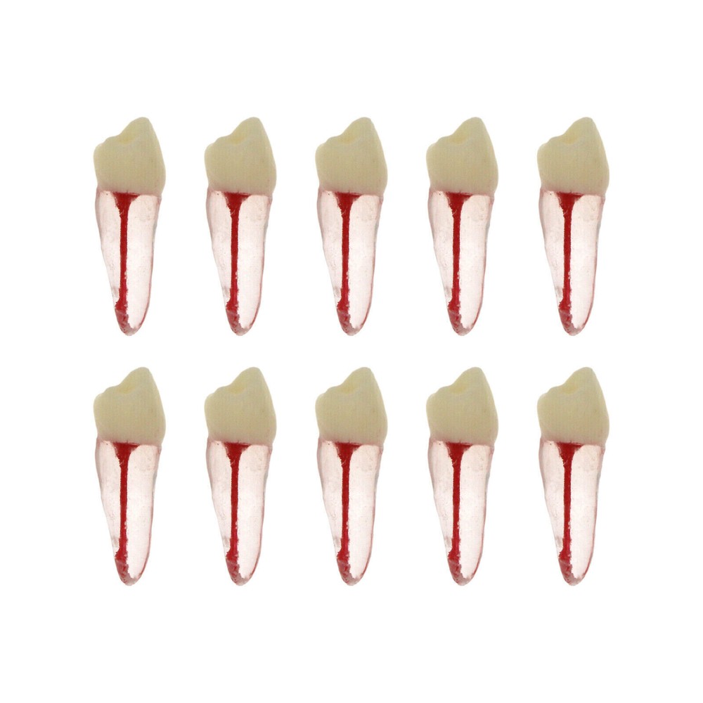 10 Pcs Dental Autoclavable Endo Root Canal Teeth Model Study Practice Typodont