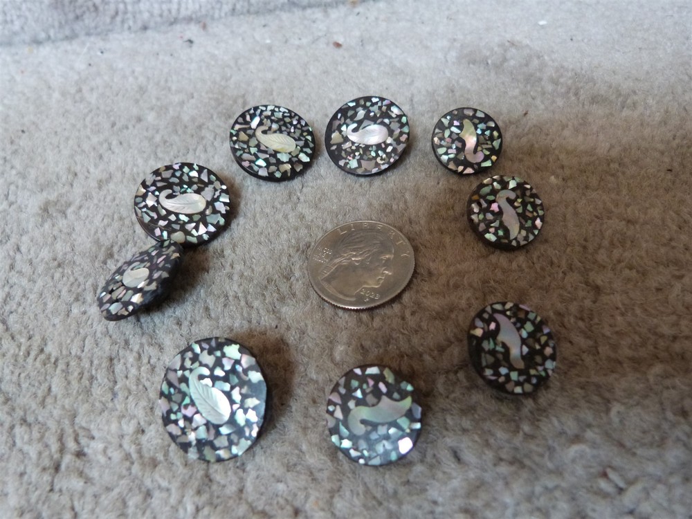 VTG matching composition abalone flake confetti leaf button lot diff sizes #101