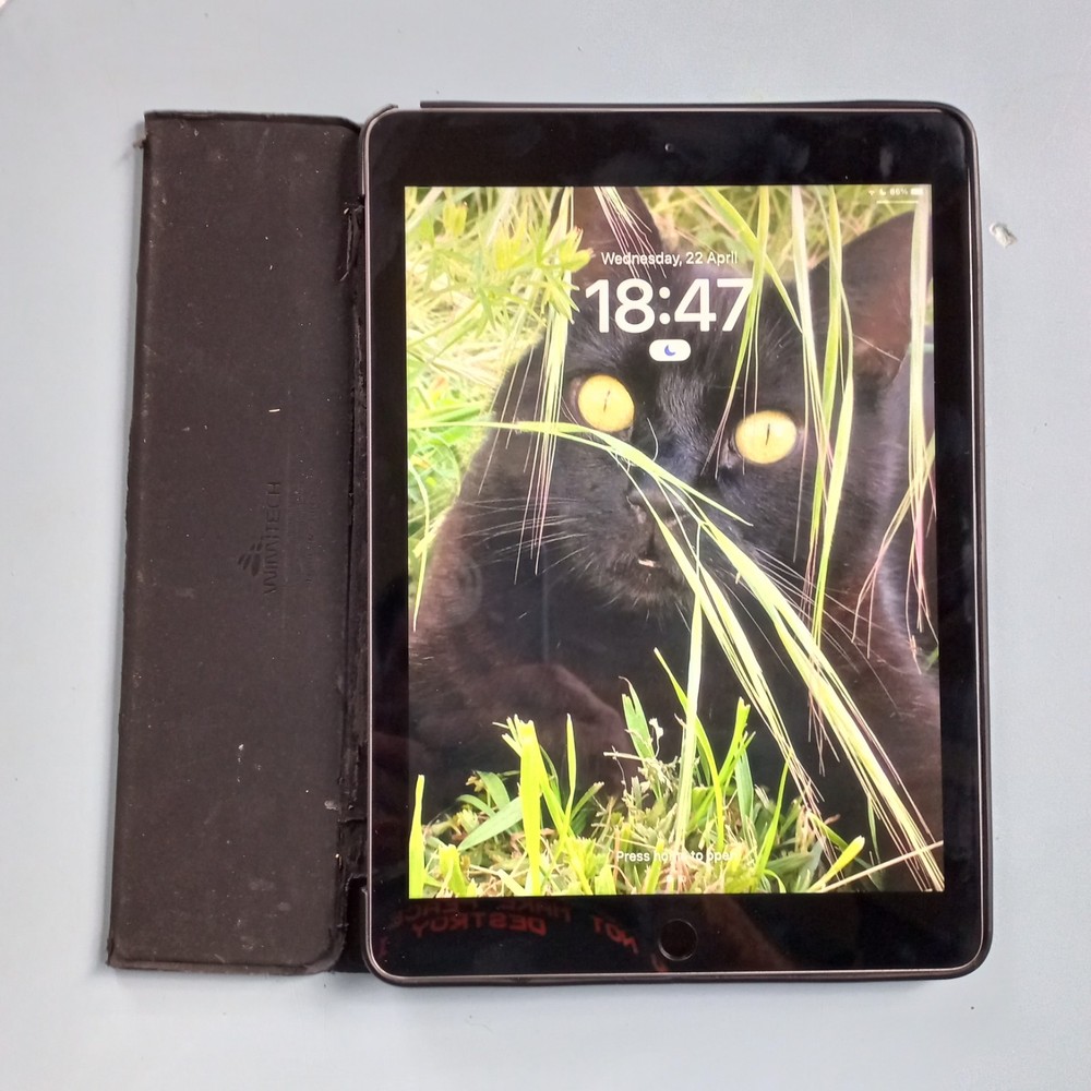 iPad 9.7 (2018, A10 series)