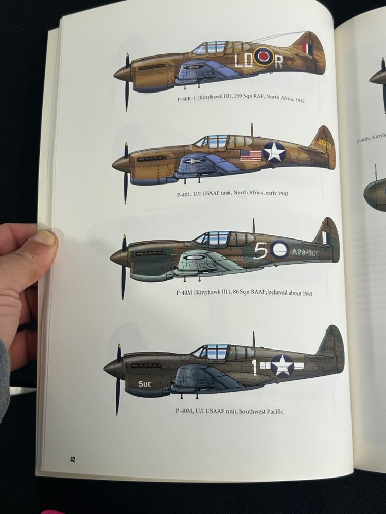 Building The P-40 Warhawk Modeler's Project Handbook