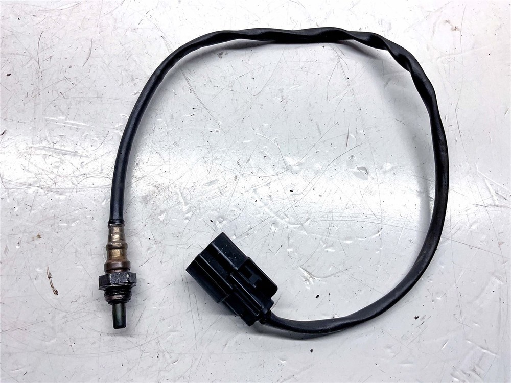 2021 Harley-Davidson Iron 1200 XL1200NS Lambda Sensor