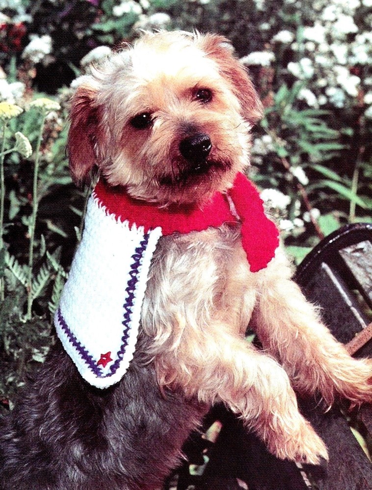 CUTE Dressed Up Doggies/Apparel/Crochet Pattern INSTRUCTIONS ONLY