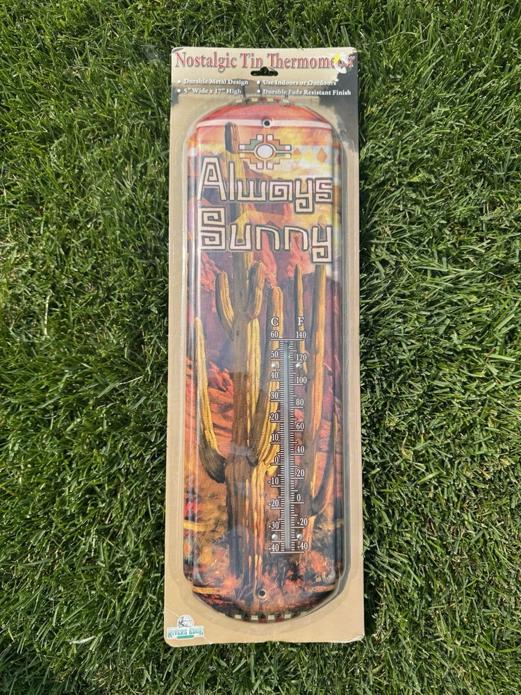 Nostalgic Tin Thermometer