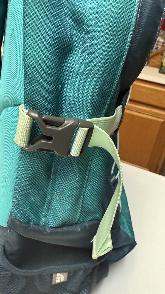 Northface Backpack Hiker, day pack, weekender, doubles as a purse