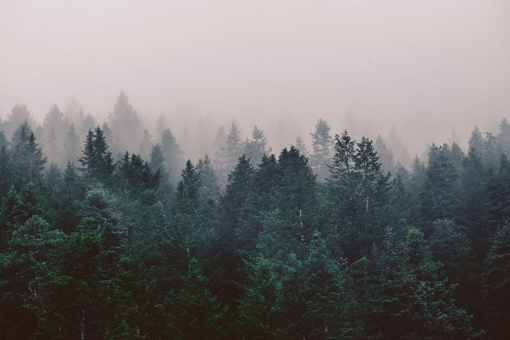 Landscape forest nature trees mist Custom Gaming Mat Desk