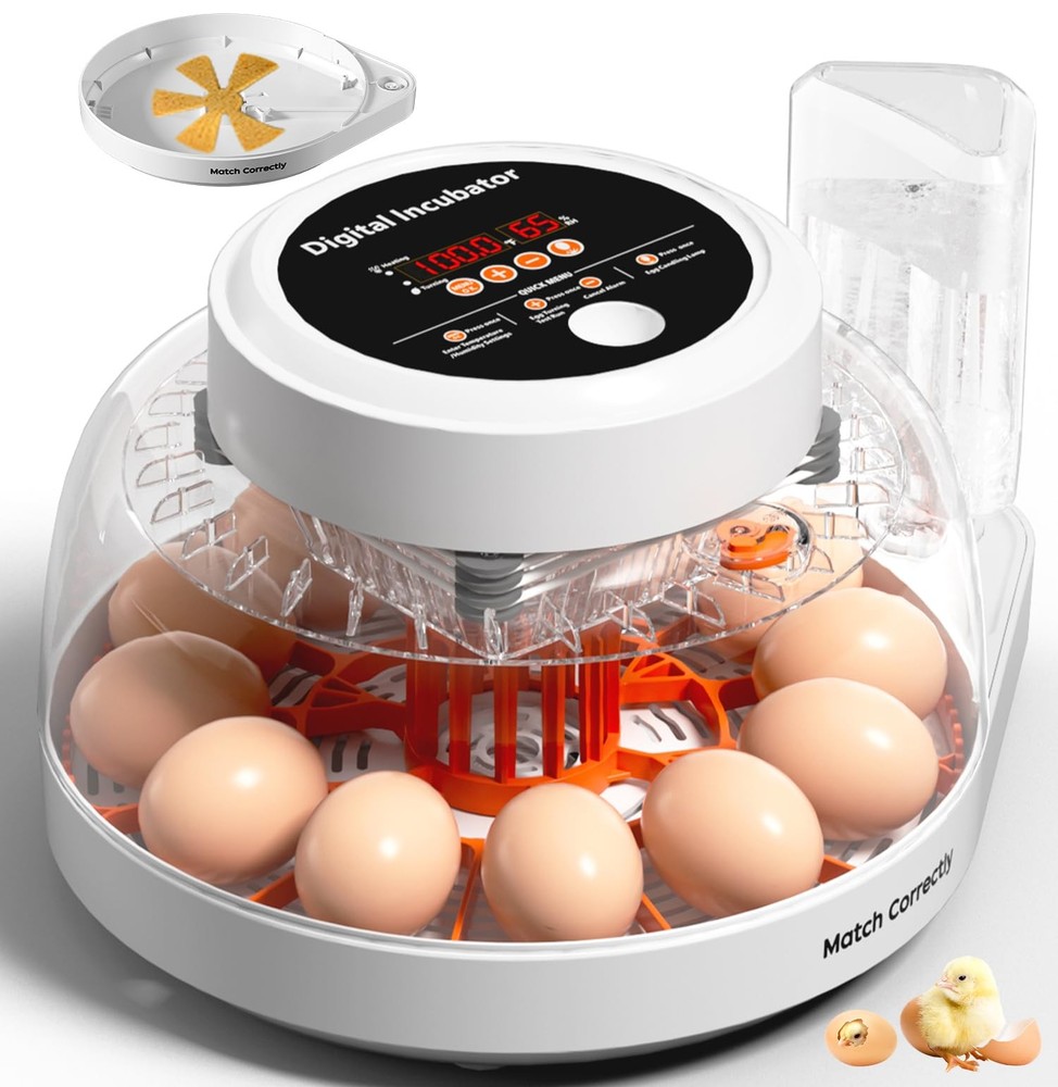 Upgraded Egg Incubator for Hatching Eggs, 12 Egg Capacity with Automatic Egg ...