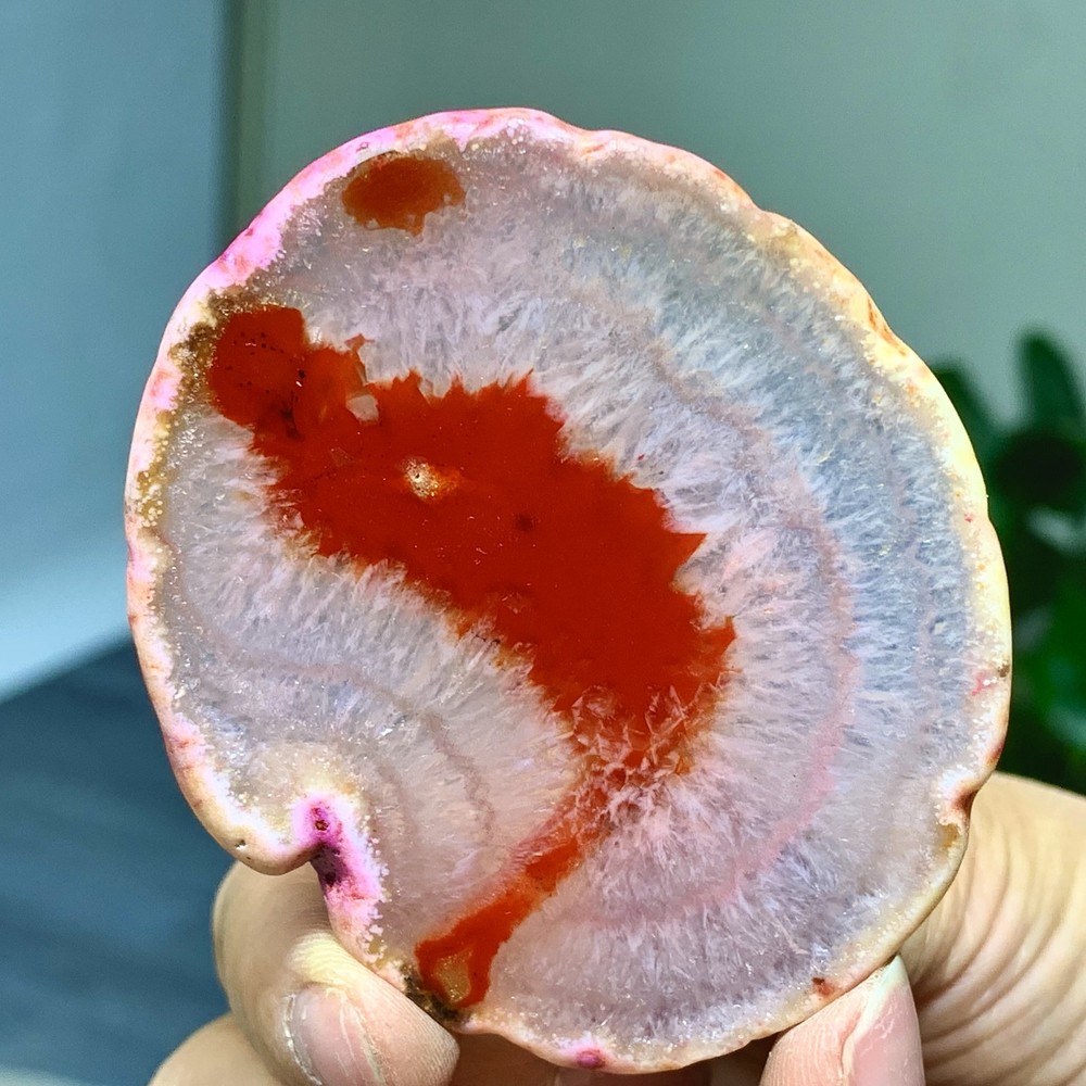 42G Natural Beautiful Agate Geode Druzy Slice Extra Large Gemstone