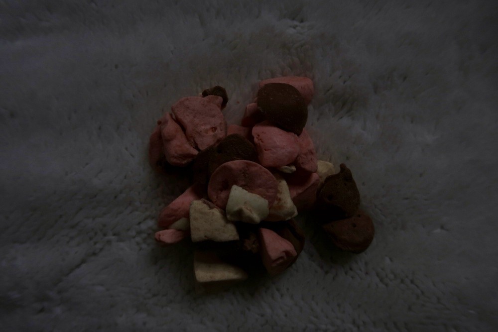 Infused Freeze Dried Ice Cream Bitez