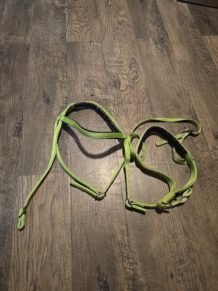 western headstall