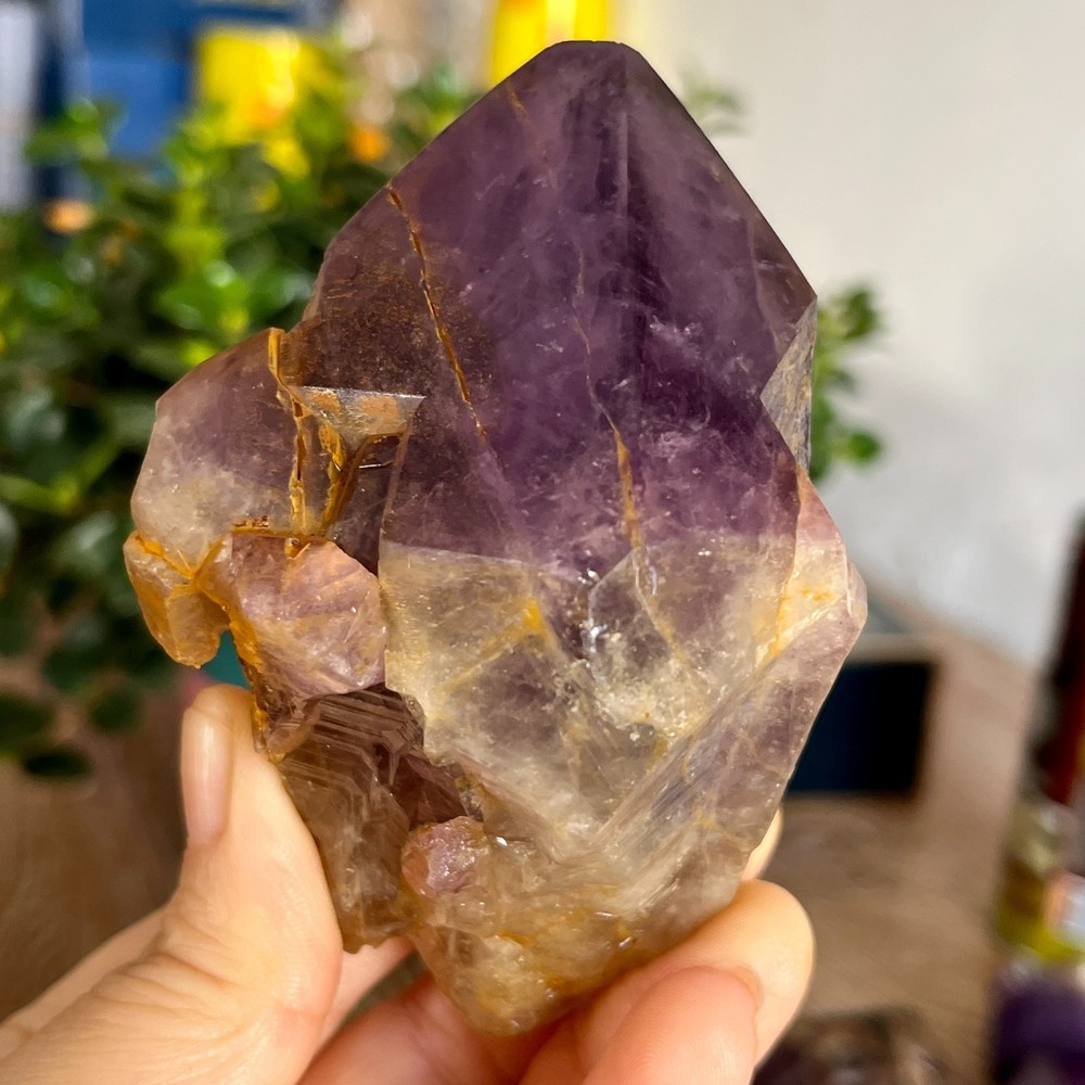 336g Natural Amethyst geode quartz clustercrystal specimen Healing