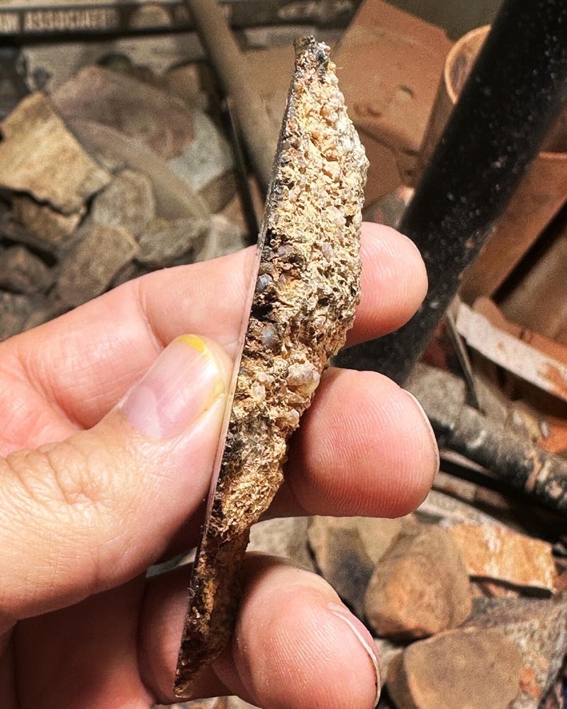 Dinosaur bone rough hxtled end cut.