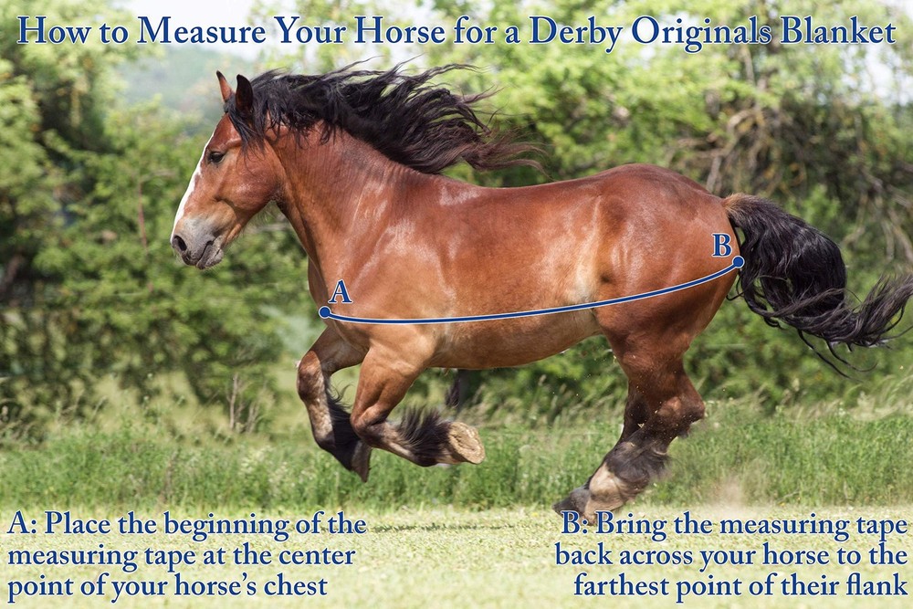 No-Hardware Foal & Mini Horse Winter Stable Blanket – 420D Breathable Shell, ...