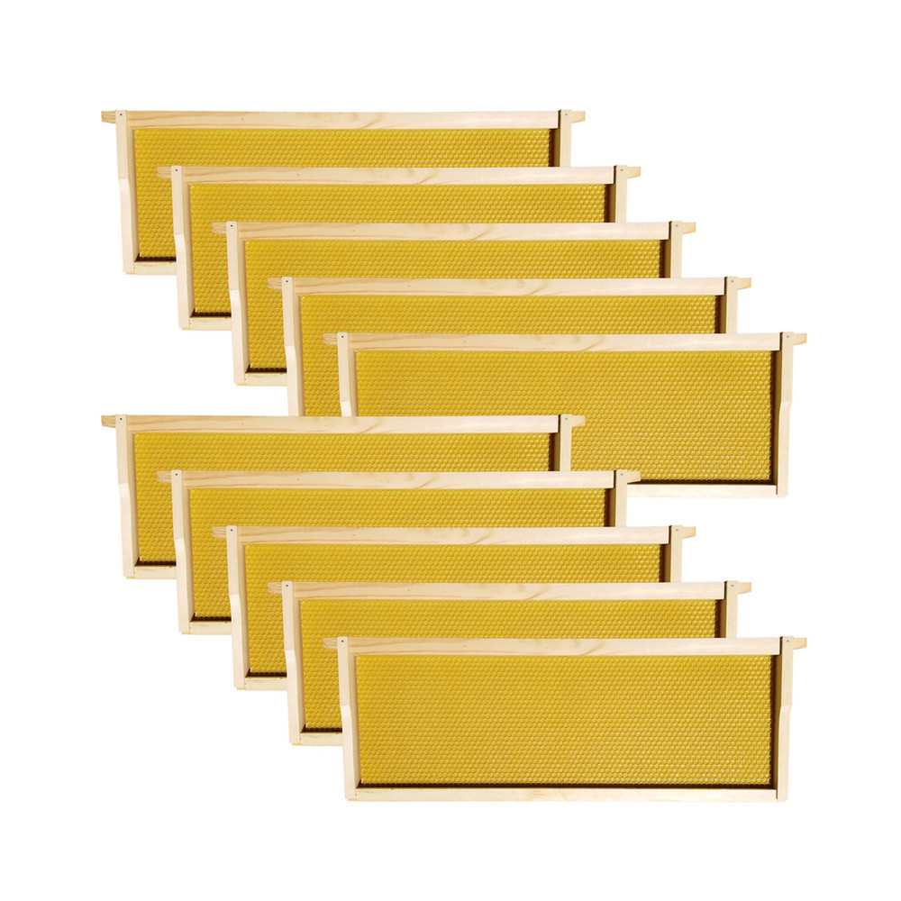 10 Frame Complete Beehive Kit – Amish-Made with 2 Deep & 1 Medium Boxes, Frames