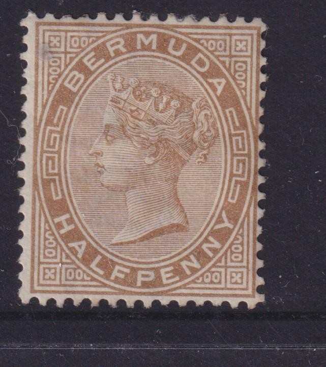 BERMUDA, 1880 CC, 1/2d. Stone, lhm.