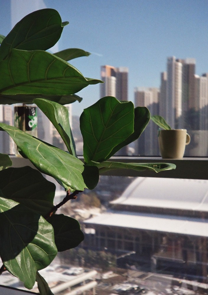 Lomo LC-A half frame conversion parts