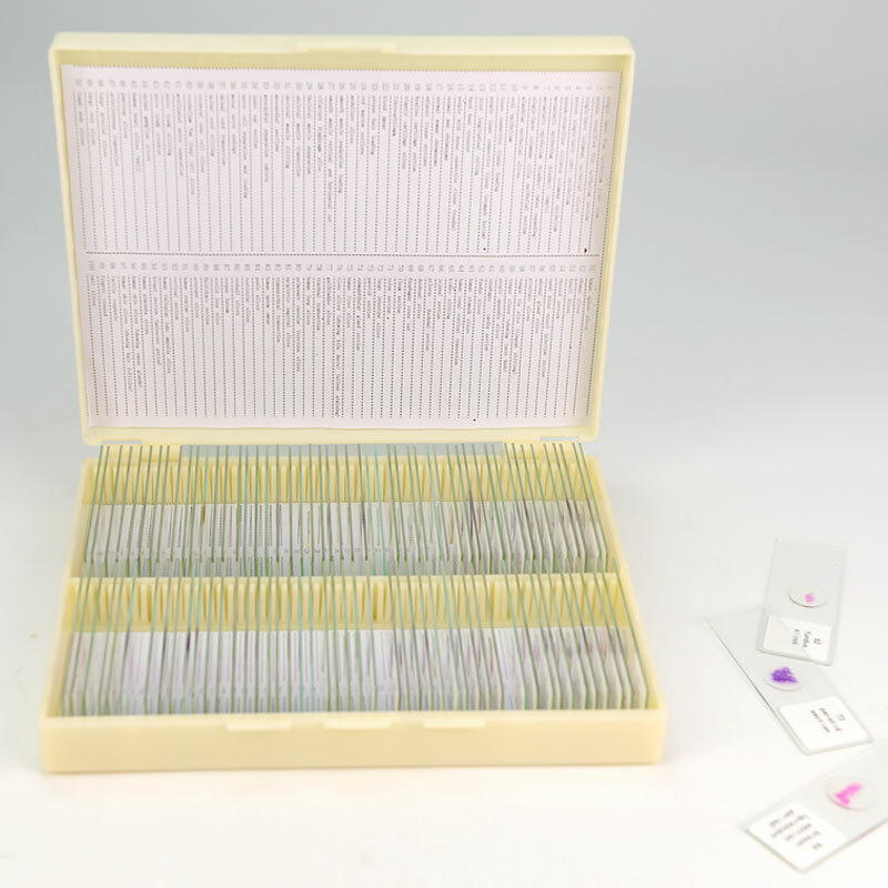 100PCS Mammal Tissue Sections Histology Prepared Specimen Microscope Slides
