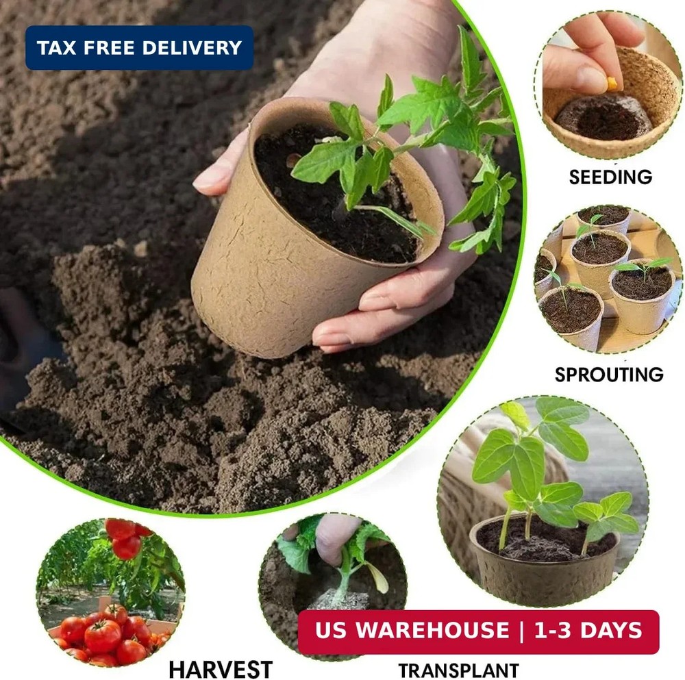 Seedling Starter Kit Germination Grow Cups and Soil (10 Pack) Biodegradable Peat