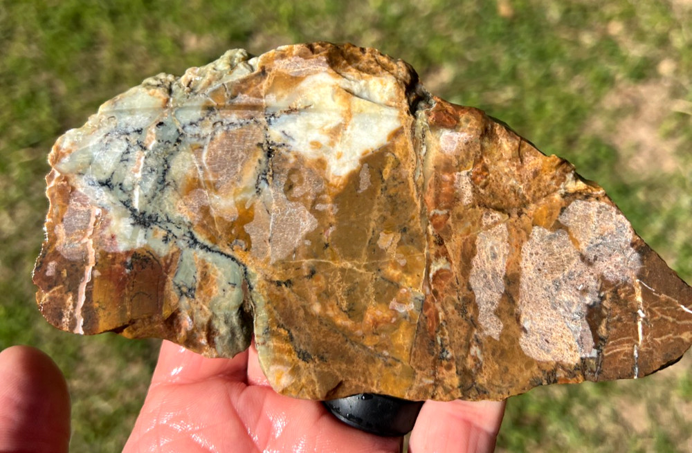 Cool multi-colored Dendritic JaspAgate - ready for cabbing  - 147g