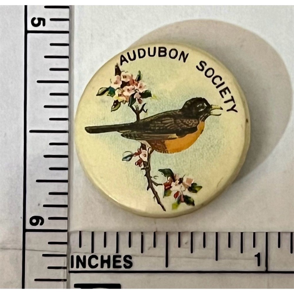 Audubon Society Robin Animal Theme Pinback Button