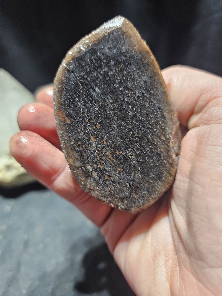 Gem Bone Multicolored Polished Specimen (8.2oz)