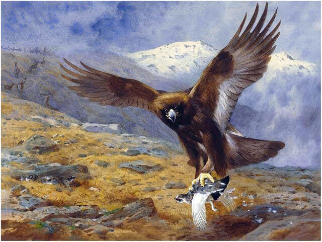 A Golden Eagle Snatching a Ptarmigan Tile Mural Kitchen Wall Backsplash Ceramic
