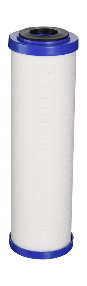 Pentek 655130-43 Sediment/Carbon Filter