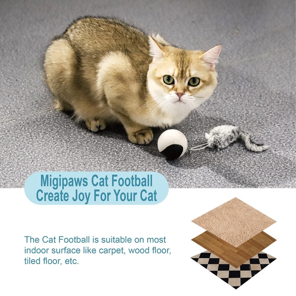 Migipaws Interactive Cat Ball Toy Set, Fun Tracker, Automatic Rolling Chase B...