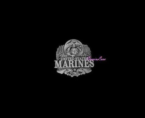 US USMC Eagle + a custom promo pin