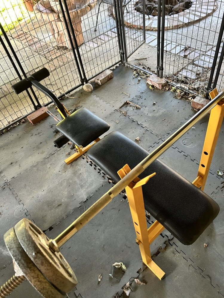 bench press with weights. Needs A Little Wipe Down But That Is About It.