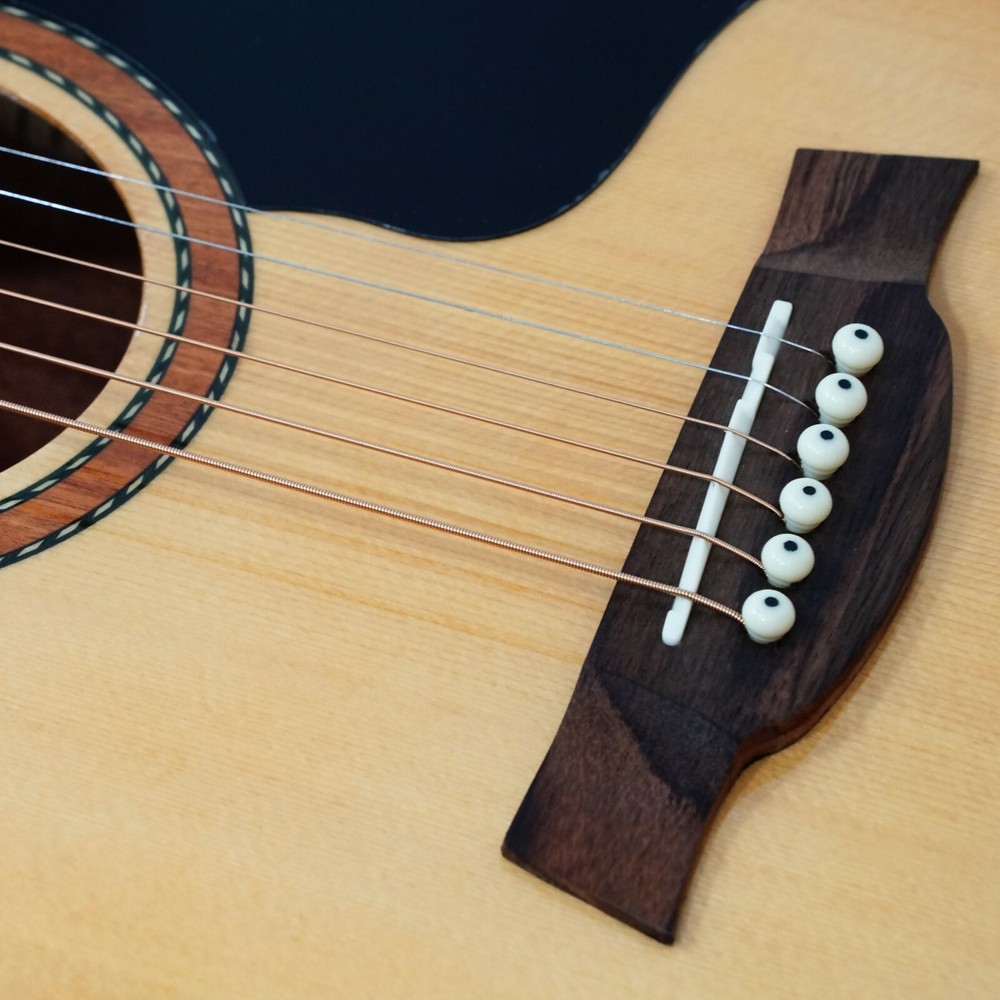 41" Acoustic Guitar PLD-160