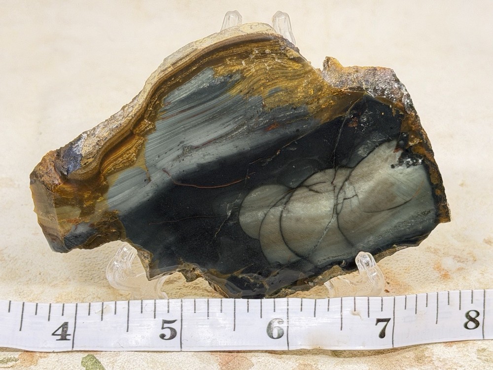 Blue Mountain Jasper Slab, Lot#161